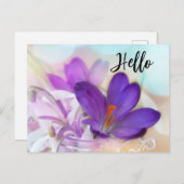 紫の春かわいらしクロッカスハローの写真 シーズンポストカード (正面/裏面)