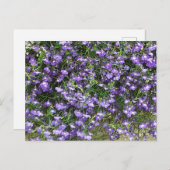 紫の春の花はがき ポストカード (正面/裏面)