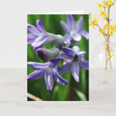 紫の春の花 カード (黄色い花)