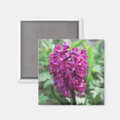 紫の春の花 マグネット (正面/裏面)