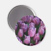 紫の春チューリップ マグネット (正面/裏面)
