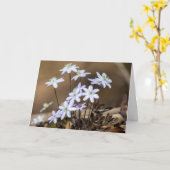 紫の春ワイルドフラワーノートカード カード (黄色い花)