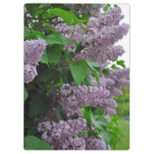 紫の春薄紫花 クリップボード (裏面)