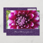 紫の暗い赤紫色ダリア日付を保存 案内ポストカード (正面/裏面)