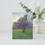 紫の木はがき ポストカード (スタンド正面)