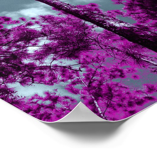 紫の木 ポスター (角)