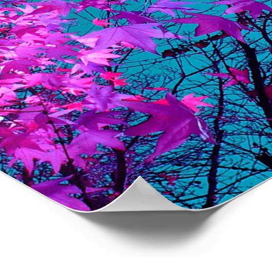 紫の木XI ポスター (角)