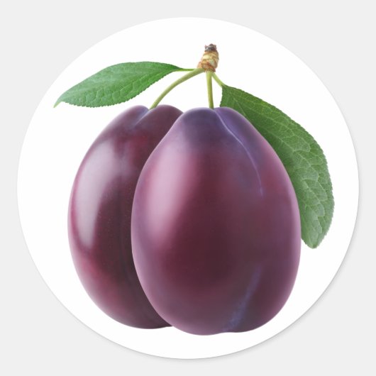 紫の梅が2つ ラウンドシール (正面)