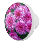 紫の梅 セラミックノブ (右)