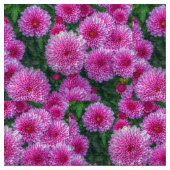 紫の梅 ファブリック (クローズアップ)