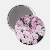 紫の梅 マグネット (正面/裏面)