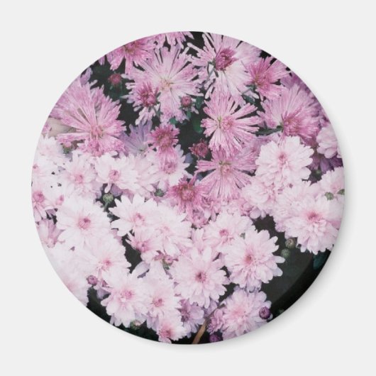 紫の梅 マグネット (正面)