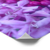 紫の球 ポスター (角)