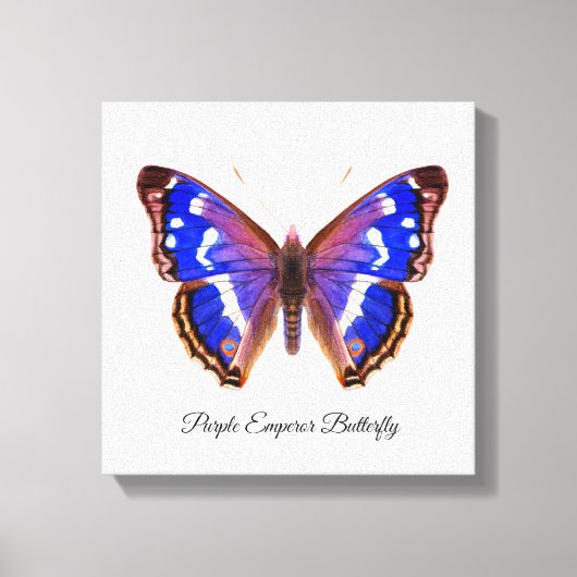 紫の皇帝バタフライウォーター絵画カラー キャンバスプリント (正面)
