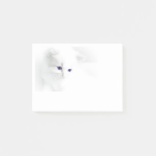 紫の目を持つ柔らかい白い子猫 ポストイット