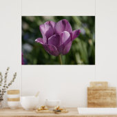 紫の瞬間 ポスター (キッチン)