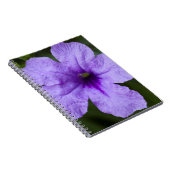 紫の矮性メキシコのペチュニア ノートブック (右側)