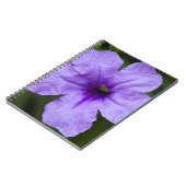 紫の矮性メキシコのペチュニア ノートブック (左側)