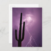 紫の稲妻とサボテン、AZ ポストカード (正面/裏面)