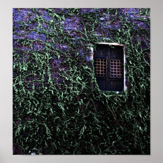 紫の窓～ポスター/プリント ポスター (正面)