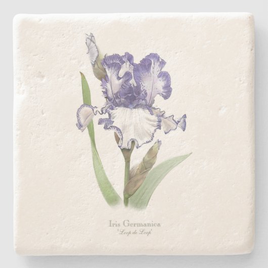 紫の紅花 ストーンコースター (正面)