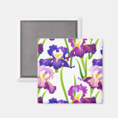 紫の素朴牧草地アイリス花水色 マグネット (正面/裏面)