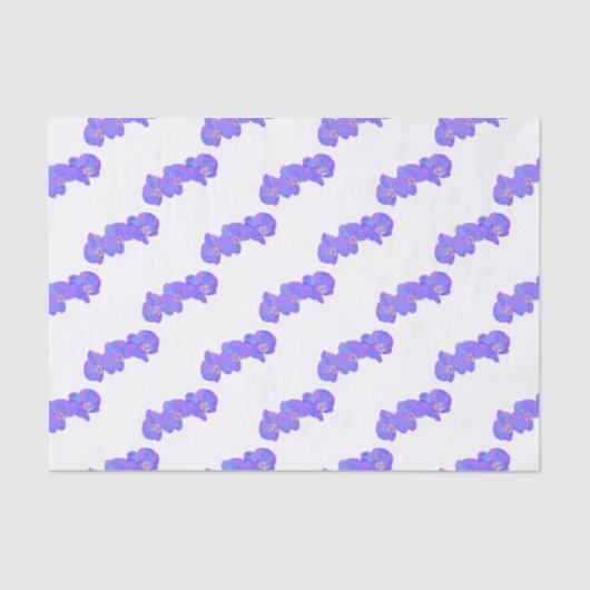 紫の紫の水色のラン絵画ズ 薄葉紙 (正面)