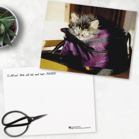 紫の考える財布に目覚めた子猫 ポストカード