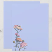 紫の背景にピンクのヤロー (正面/裏面)