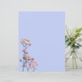 紫の背景にピンクのヤロー (スタンド正面)