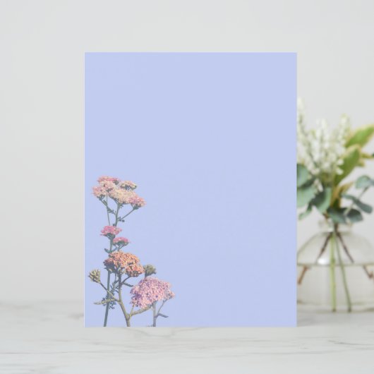 紫の背景にピンクのヤロー (スタンド正面)