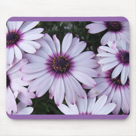 紫の背景を持つライトパープル花びら マウスパッド (正面)