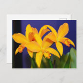 紫の背景ポストカードにオレンジ色のラン ポストカード (正面/裏面)