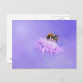 紫の花に止まったのまわりに ポストカード (正面/裏面)