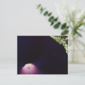 紫の花のはがき ポストカード (スタンド正面)