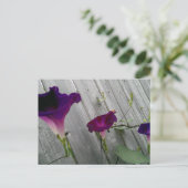 紫の花のはがき ポストカード (スタンド正面)