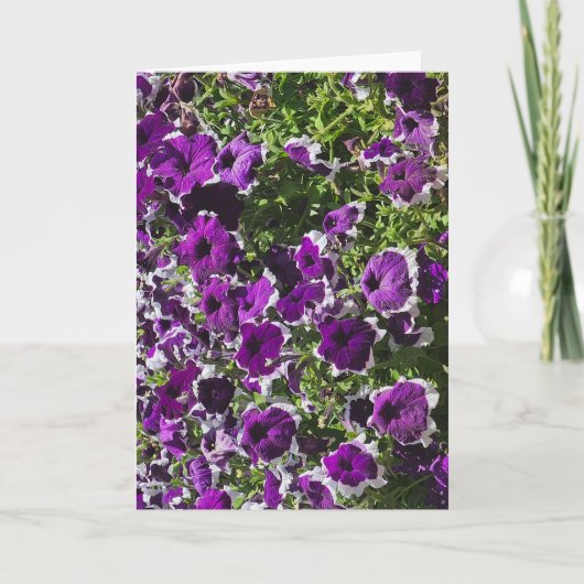 紫の花のイラストが描かれたブランクグリーティングカード カード (正面)