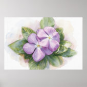 紫の花のフラワーの水彩画アートプリント ポスター (正面)