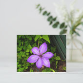 紫の花のポストカード ポストカード (スタンド正面)