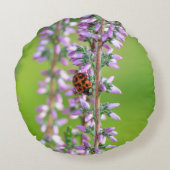 紫の花のラディバード –  ラウンドクッション (裏面)