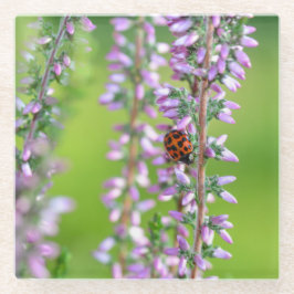 紫の花の上のてんとう虫 ガラスコースター