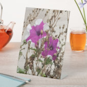 紫の花の写真 台座サイン (インサイチュ)