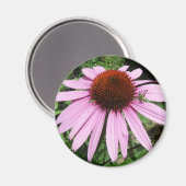 紫の花の小さなキリギリス マグネット (正面/裏面)