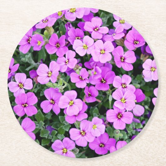 紫の花の庭-22195 ラウンドペーパーコースター (正面)