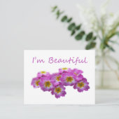 紫の花は私は美しい ポストカード (スタンド正面)