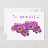 紫の花は私は美しい ポストカード (正面/裏面)