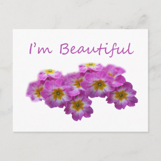 紫の花は私は美しい ポストカード (正面)