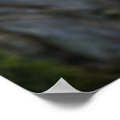 紫の花弁症ラン ポスター (角)