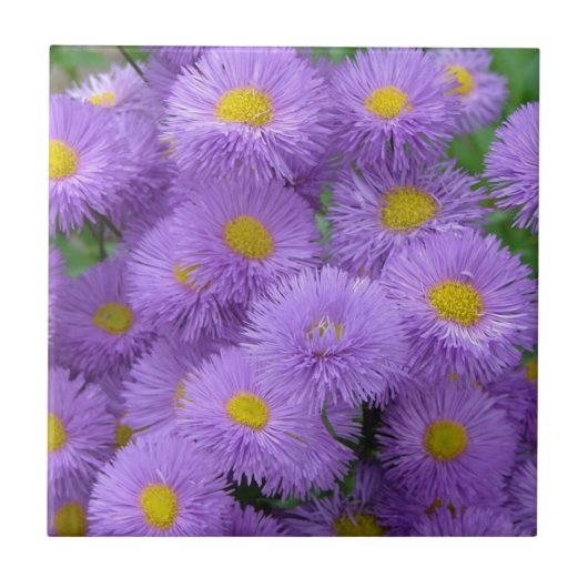 紫の花柄 タイル (正面)