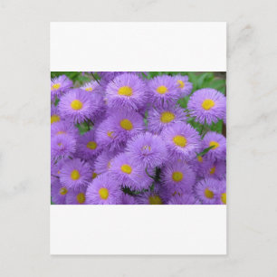 紫の花柄 ポストカード